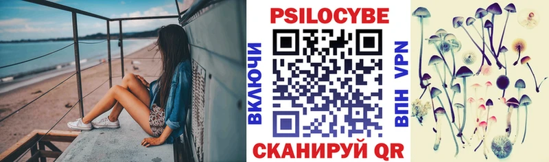 Псилоцибиновые грибы Magic Shrooms  Купить где  Нахабино 